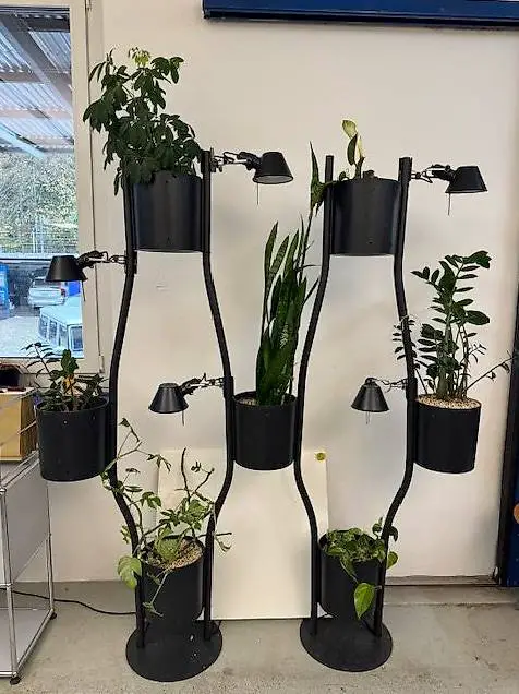 Brunner Para Vert Pflanzentrennwand (mehrere vorrätig)