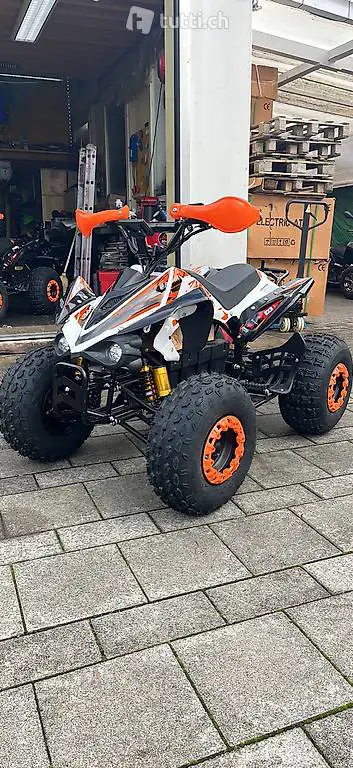  atv quad 1200w 60v direktantrieb und differentialgetriebe