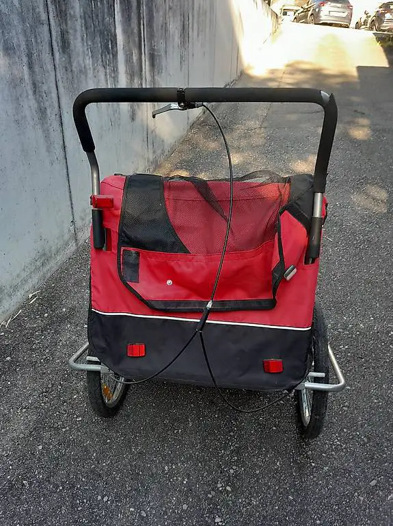 Fahrrad Anhänger für 2 Kinder