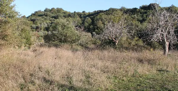 Erschlossenes Baugrund. ab 400m2 Meer 1500m. Meerblick