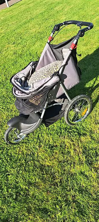 Hundetransportwagen Buggy