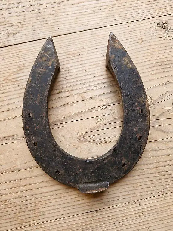 Hufeisen schwarz Deko Glück SF