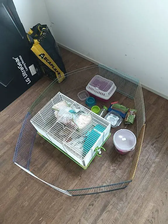 hamster cage, carrier, food and sand bundle