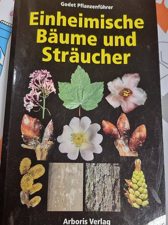 Lehrbuch