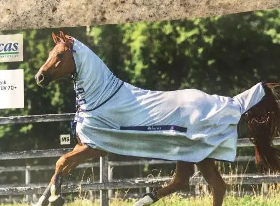 Bucas Fliegen- & Bremen-Schutzdecke, Grösse 125