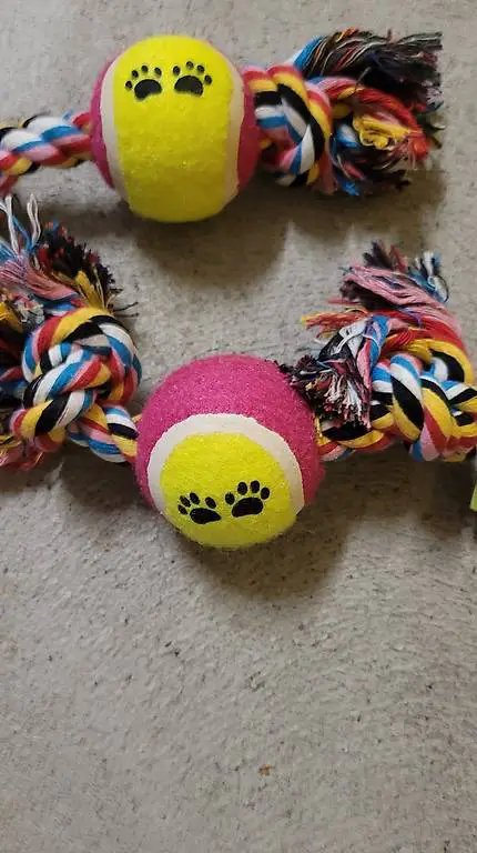 Hundespielzeug Ball mit Knochen