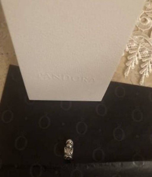 Pandora charm