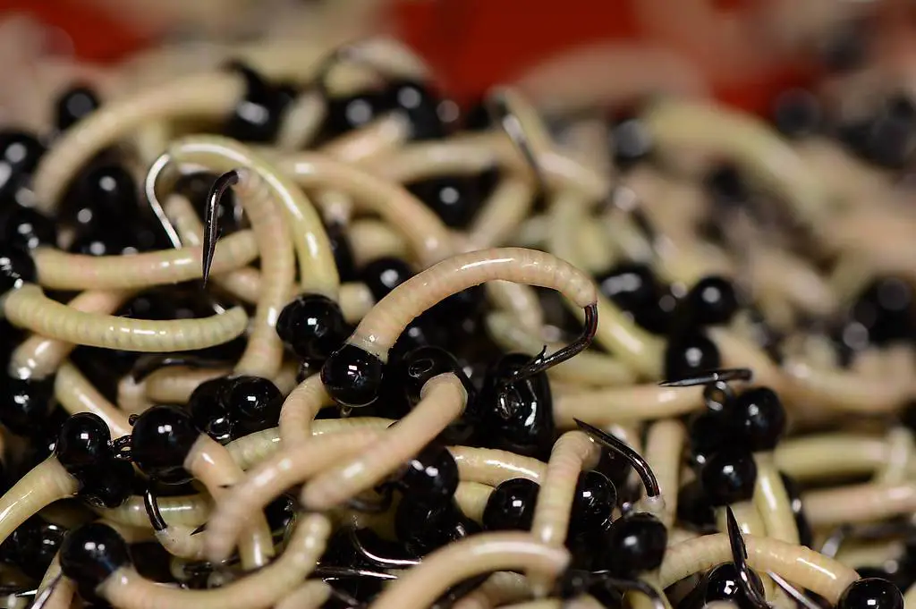 IA13 - Egli-Hegene fertig gebunden