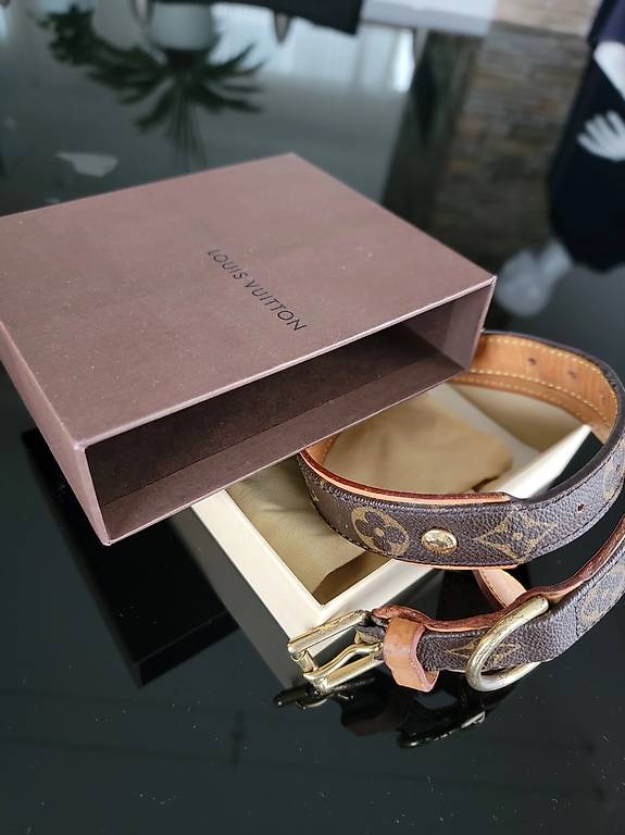 Louis Vuitton Hunde Halsband
