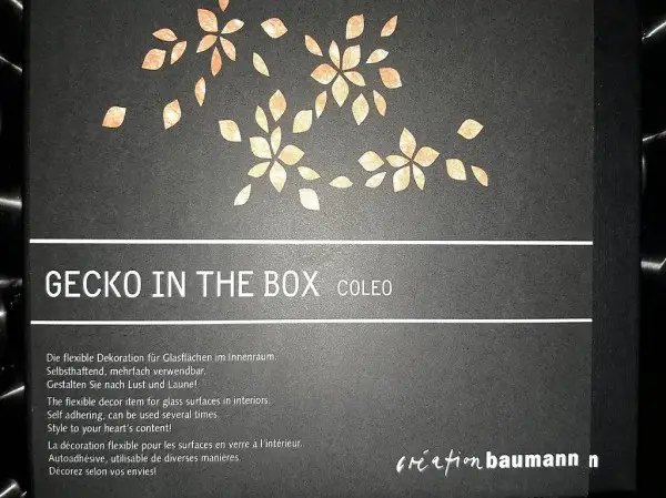 Gecko in the Box Coleo