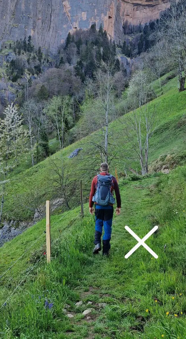 Ferien für Ihren Hund