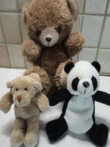  Bären, Braunbär, Pandabär, und kleiner Bär