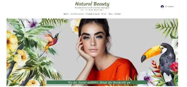 webseiten-programmierung chf 200.-