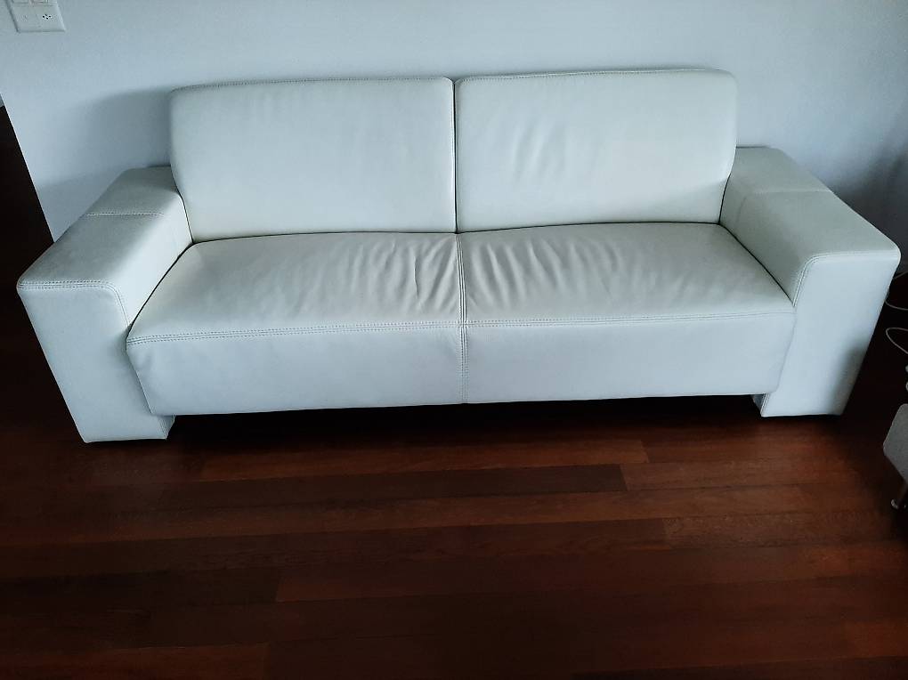 Echtleder Polstermöbel (CH)