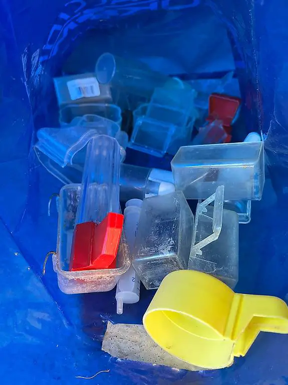 Assessori per canarini