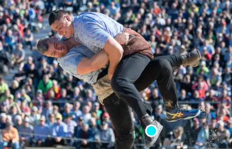 Ich suche Aufnahmen von Eidg. Schwingfesten 1986 und älter