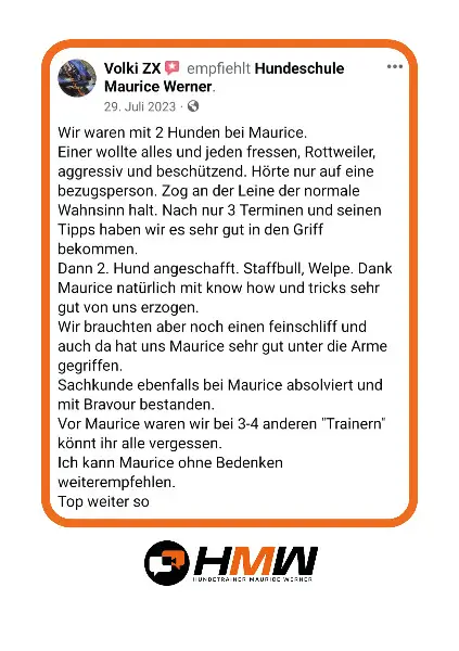 Hundetraining – Persönlich oder auch via Video