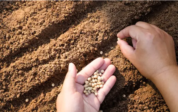 Das Seminar für Menschen die beruflich was ändern wollen