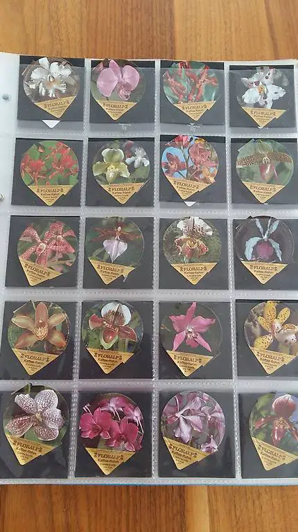 Kaffeerahmdeckeli Orchideen/Blätter/Ballone