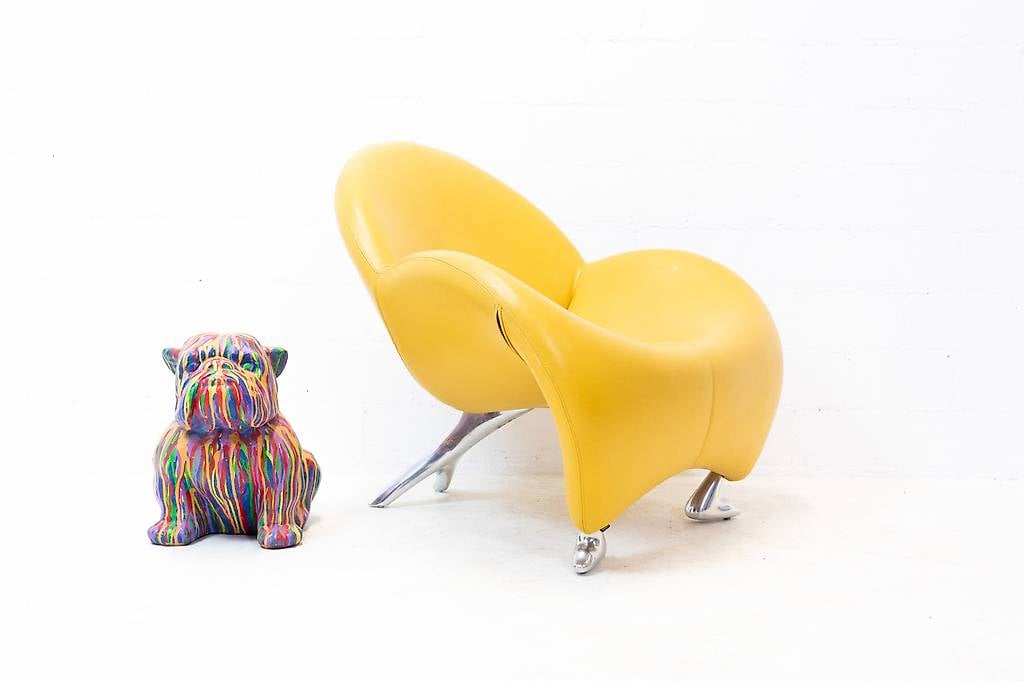 Leolux Papageno Sessel Leder Nr. 3 - Lieferung möglich