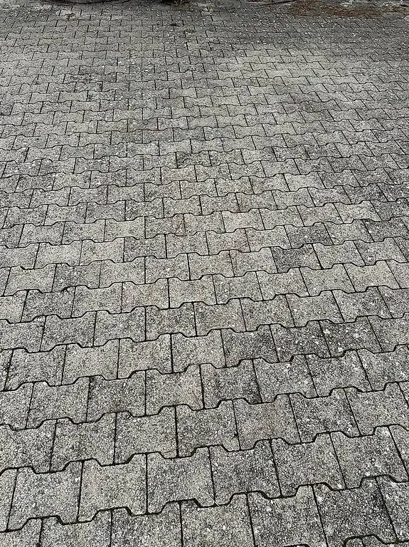 Verbundsteine 3jährig