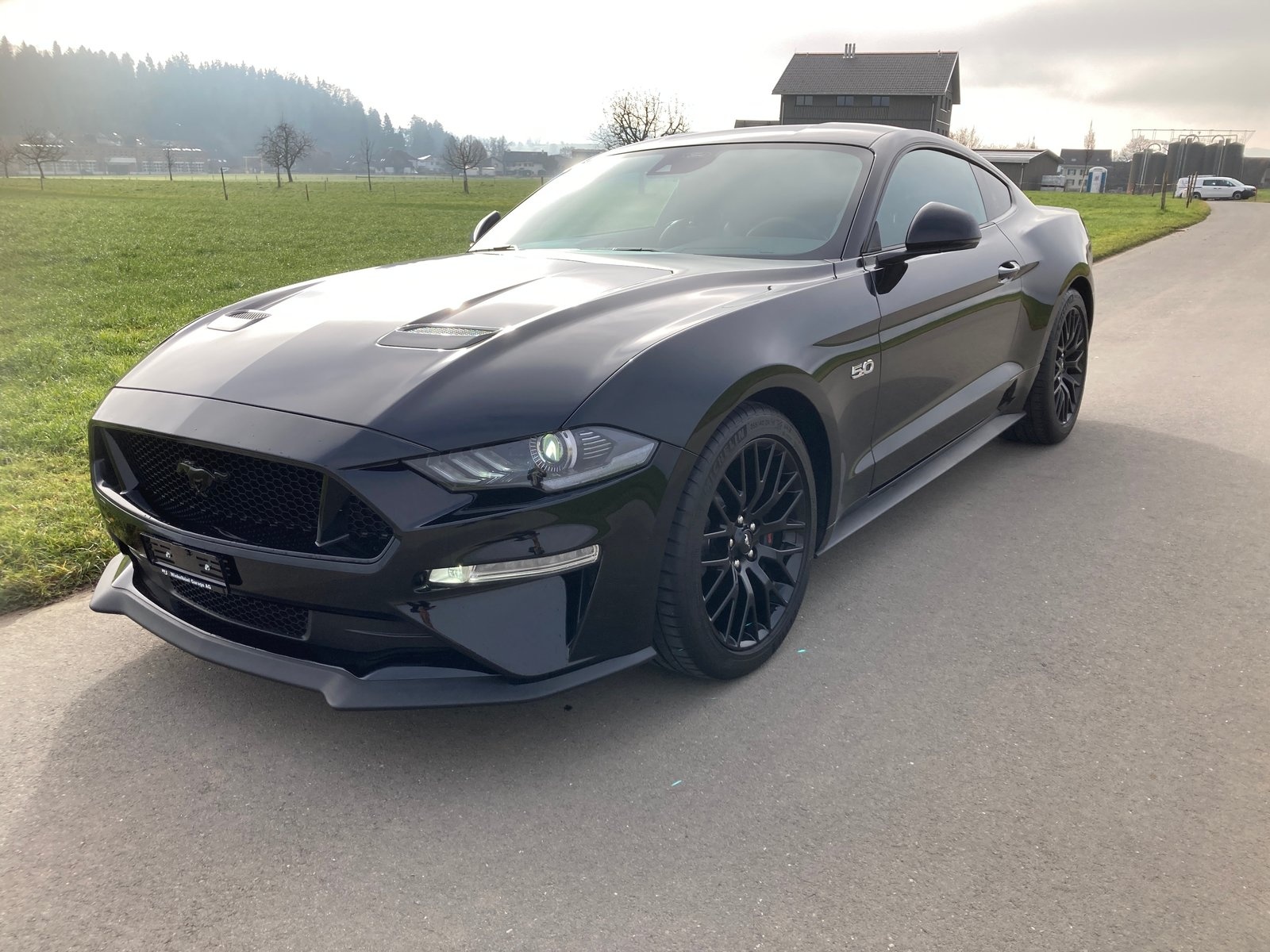 FORD Mustang Fastback 5.0 V8 GT Automat