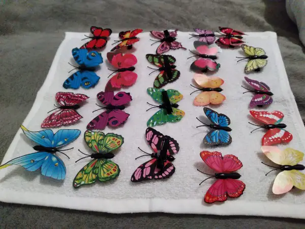 Schmetterlinge mit Clip