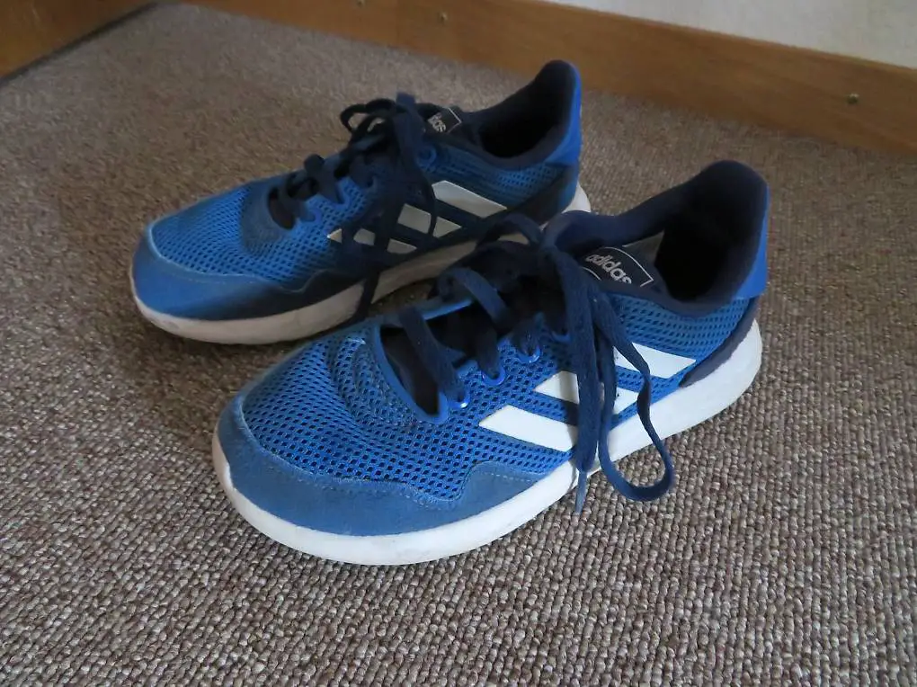 Blaue Adidas Sportschuhe in Gr. 36 zum Austragen
