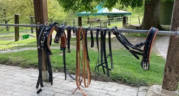 Einspänner Brustblattgeschirr Kaltblut