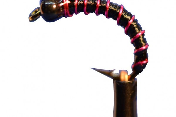  Hegene, Gambe, Nymphen, orig. ramsey. Felchen und Egli, IA12