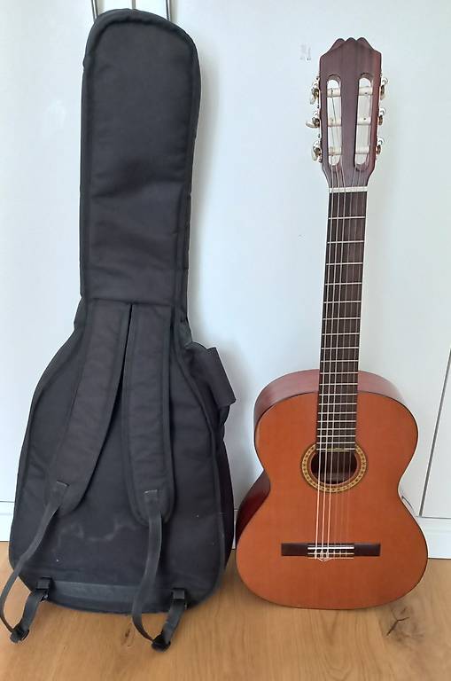 Gitarre akustisch 3/4-Grösse Aria-Pepe 58