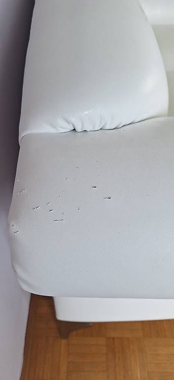 EchtLedersofa gebraucht