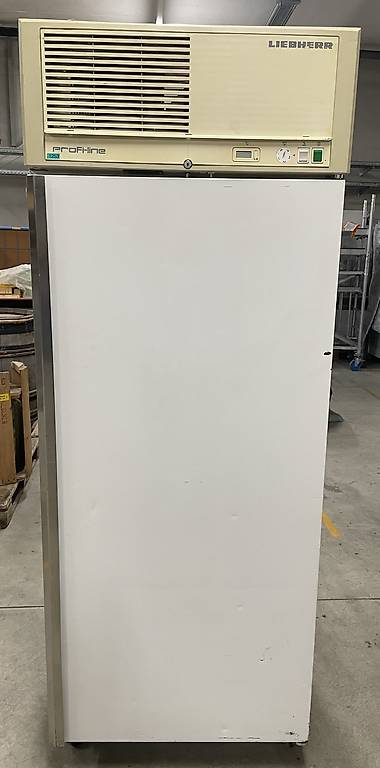 Kühlschrank Liebheer Profiline/Caravelle