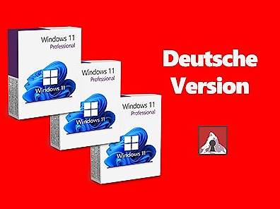 Windows 11 Professional (3 Product Keys)