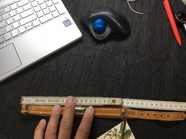 Collare cane in pelle 35 cm.