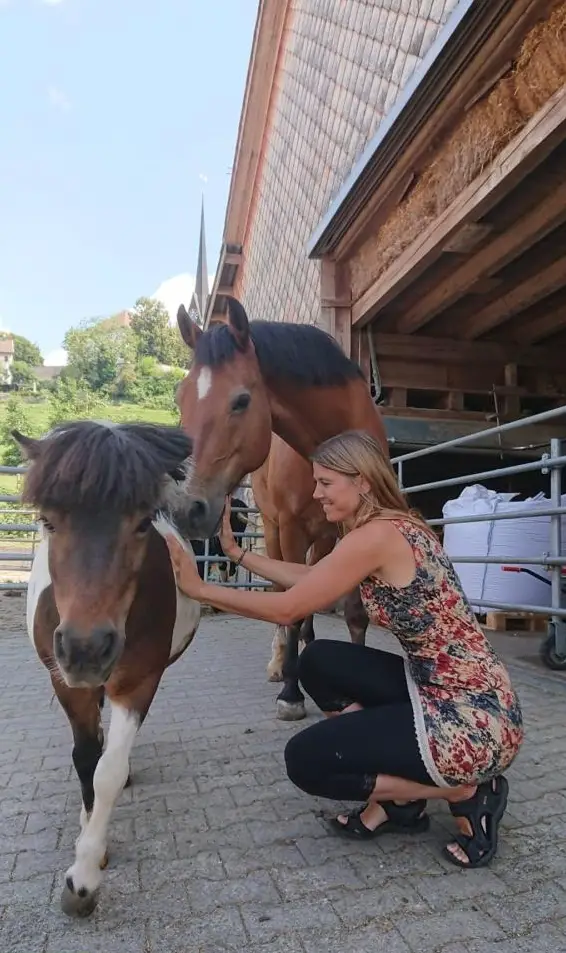 Haustier-/Pferde-/Ponybetreuung im ZH-Oberland
