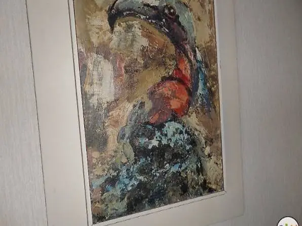 Bild von "Noldi Uhlmann " Nackthalsgeier"