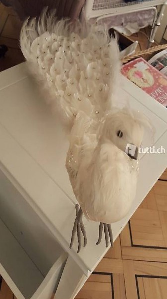 Pfau grösse ca. 25cm länge: ca. 70cm