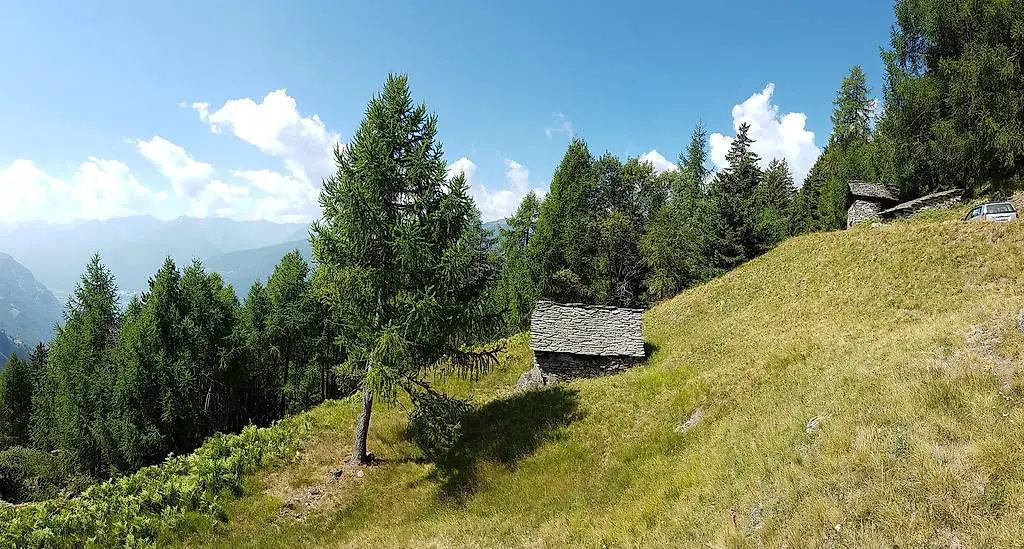 2 rustici da riattare (con licenza) , piccola stalla, terreno