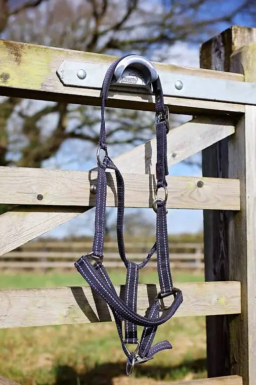 EquiHook Magnethaken für Pferdezäume und Halfter made in UK