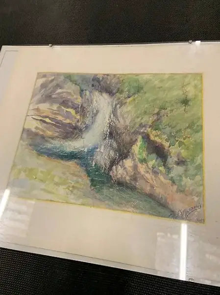 Ritratto di un ruscello e natura