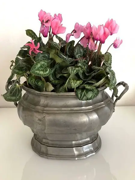 Alte Zinnschüssel mit Deckel