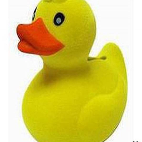 Sparkasse Spardose Ente