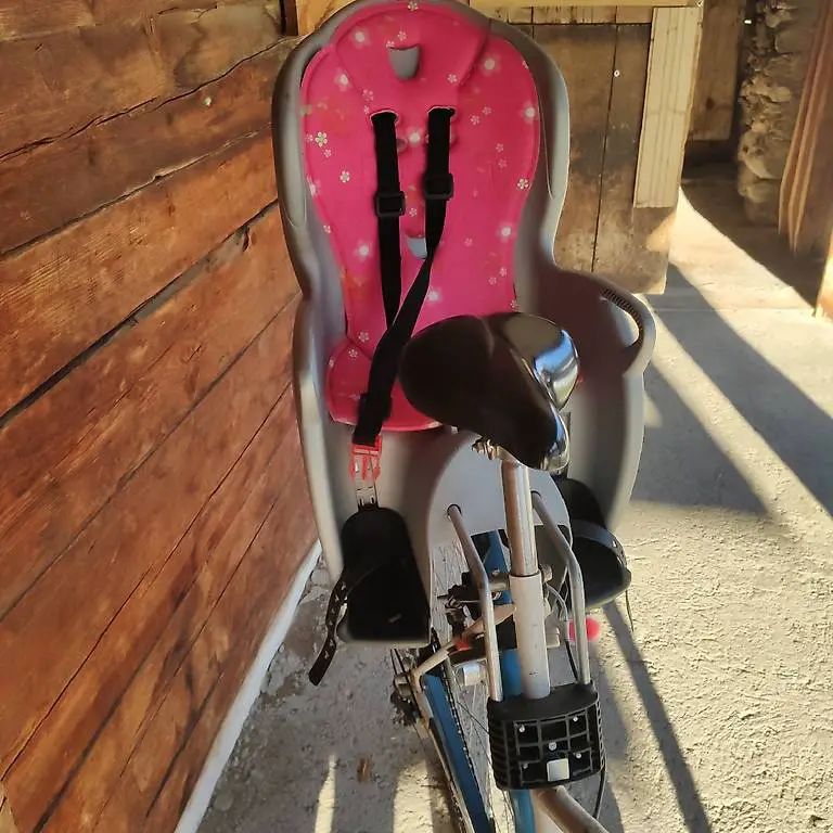 Hamax Fahrradkindersitz und Fahrradkorb