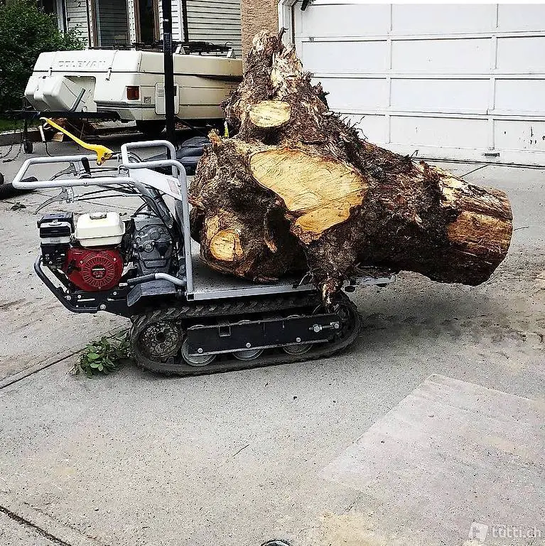  Raupen-Dumper Typ RC550, 5.5PS