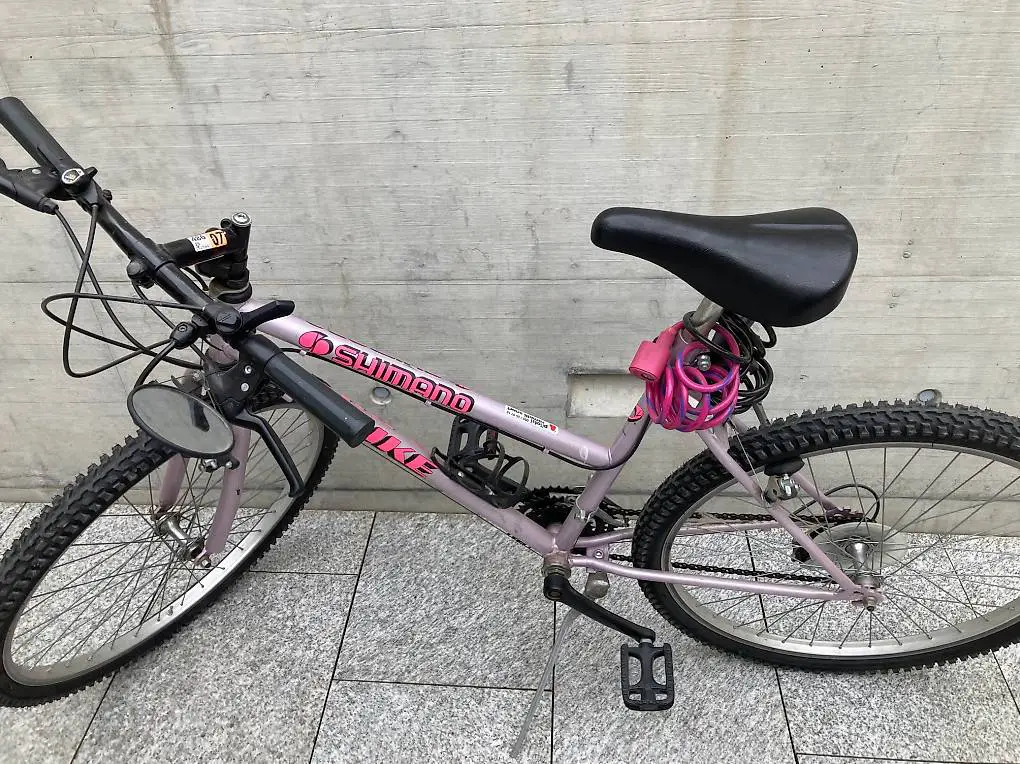 Mountain bike ragazza/ donna