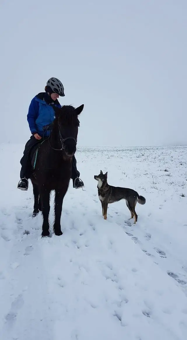 Tierärztliche Praxis für Osteopathie und Chiropraktik