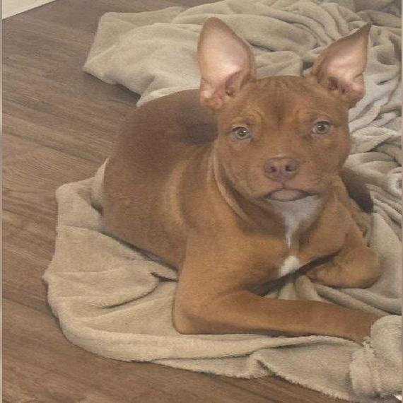 Sie sucht Neues zu Hause