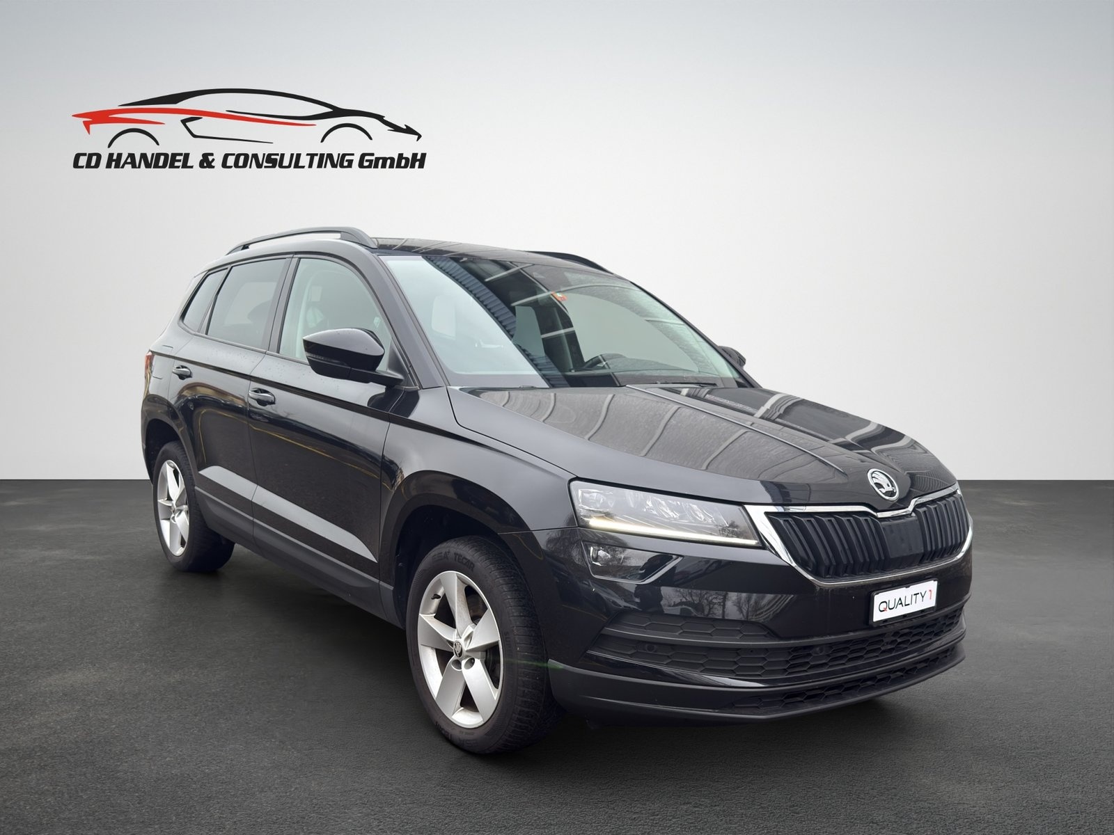skoda karoq 2.0 tdi cr ambition 4x4 dsg