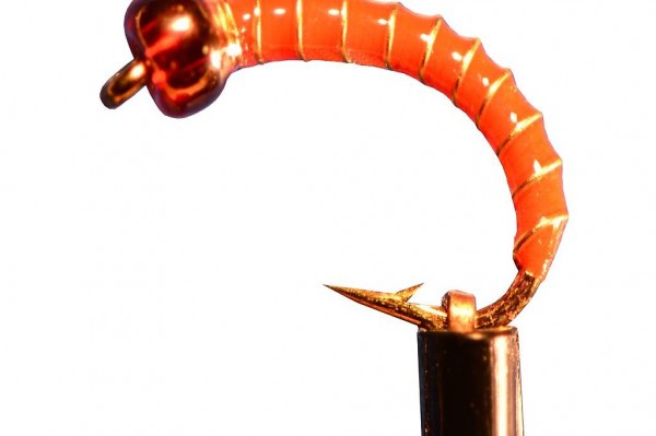  Hegenen, Gamben, Nymphen, ramsey. Felchen und Egli, GP36